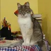 Отзыв от Лилия Платонова